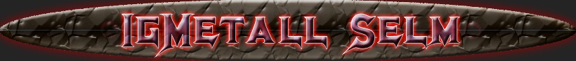 IG Metal Selm
